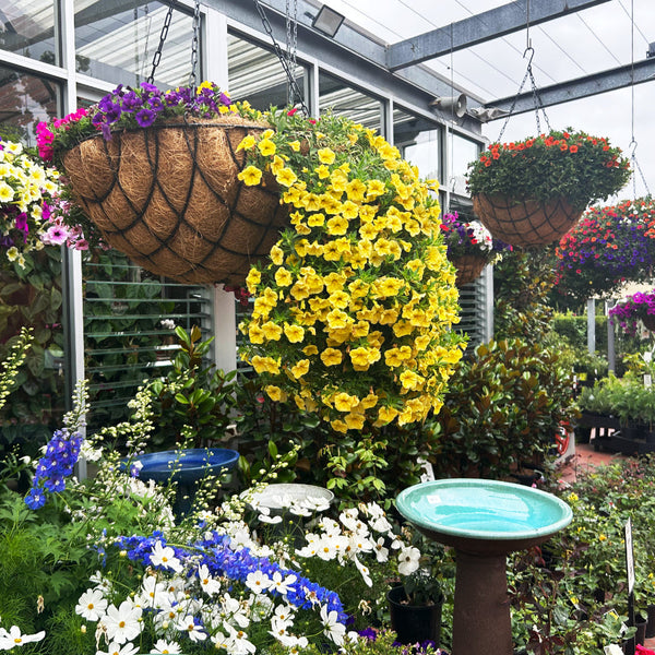 Celebrating the Arrival of Autumn