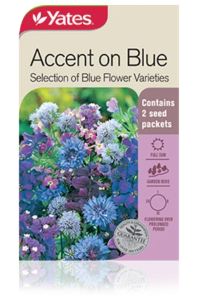Accent on Blue seeds