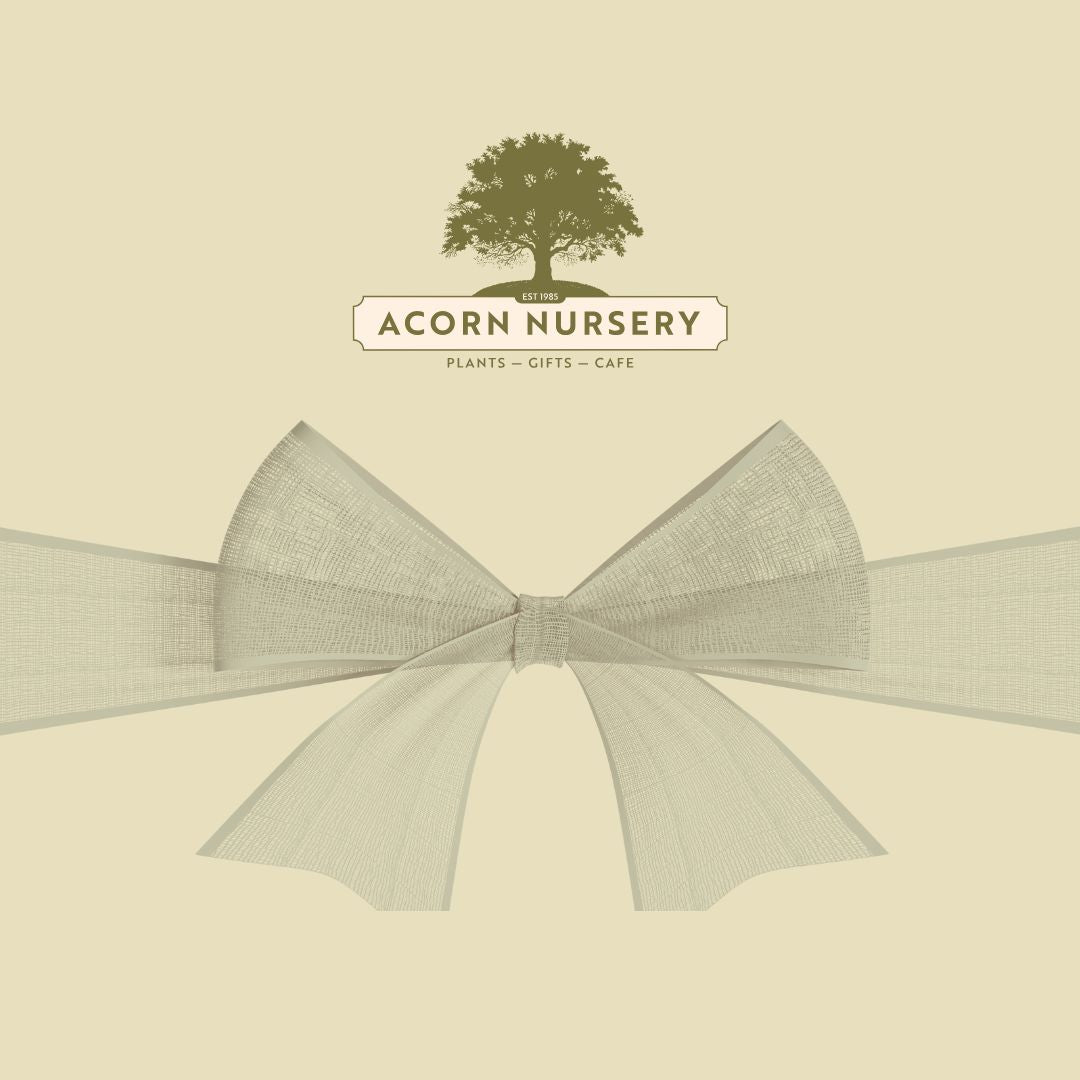 Acorn Nursery Gift Voucher