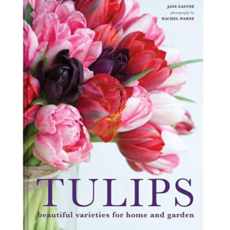 Tulips- Beautiful Varieties