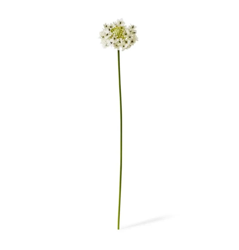 Star Flower Stem White