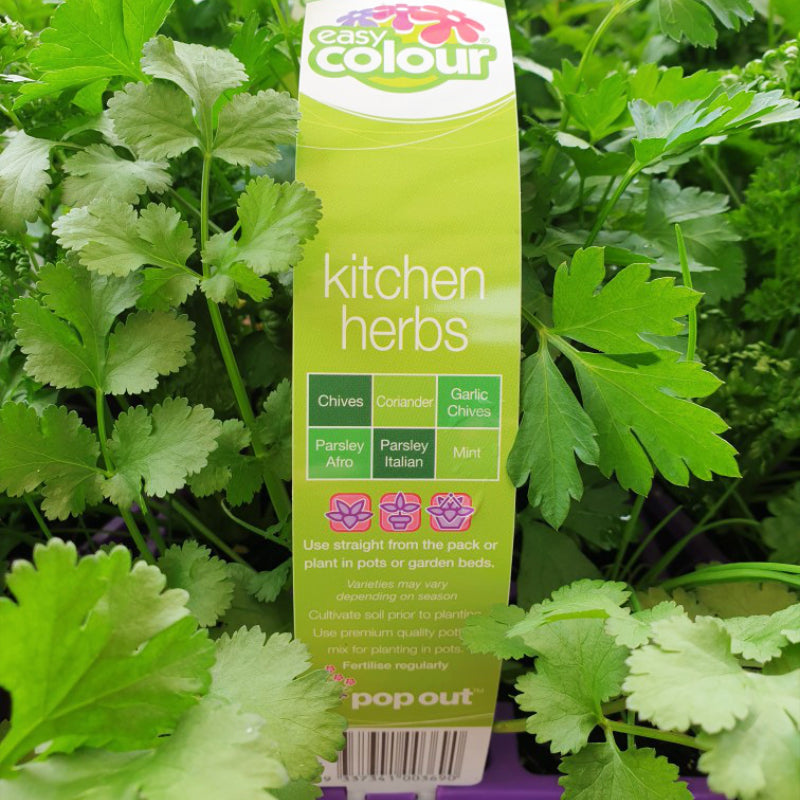 Herbs Kitchen Easy Colour