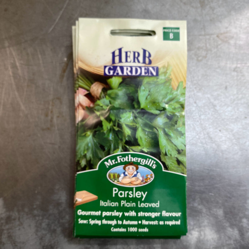 Parsley Italian Plain Leaf  Yates