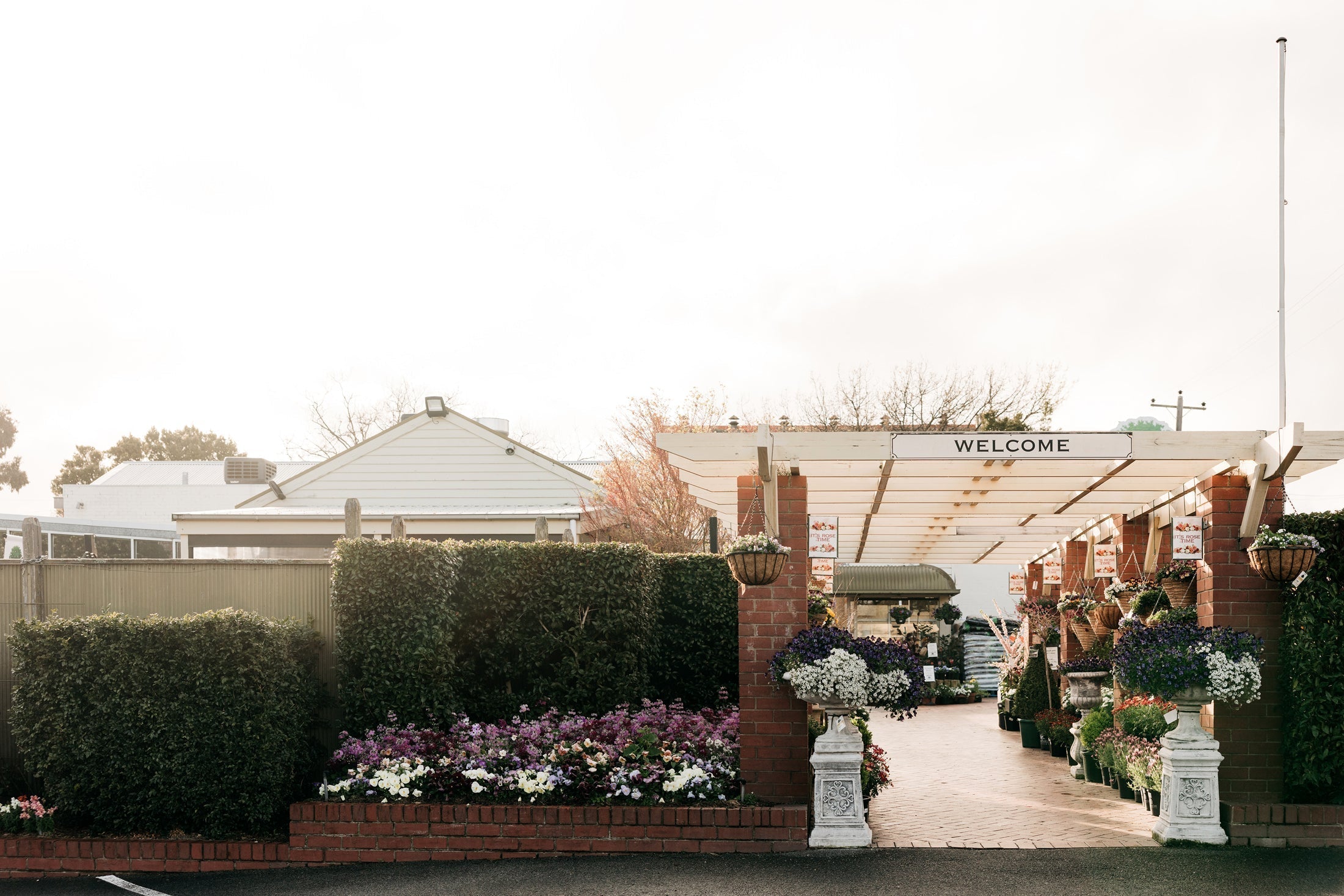 With the new year, comes new garden goals