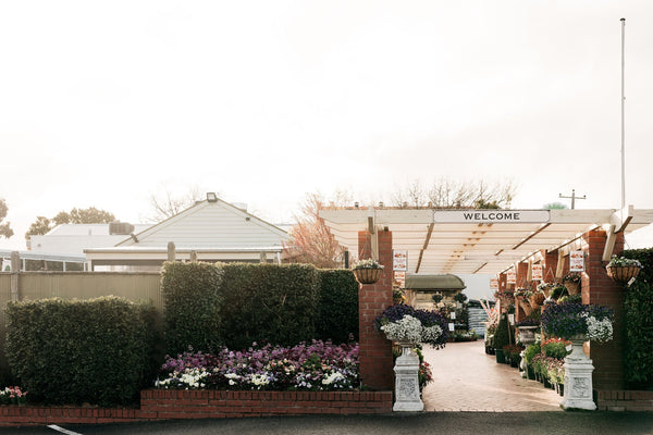 With the new year, comes new garden goals