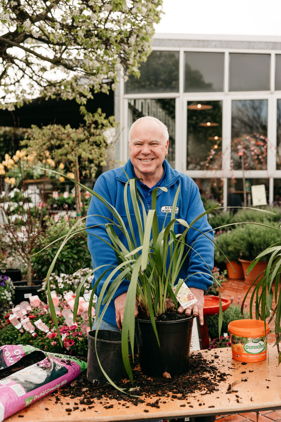 October in the garden