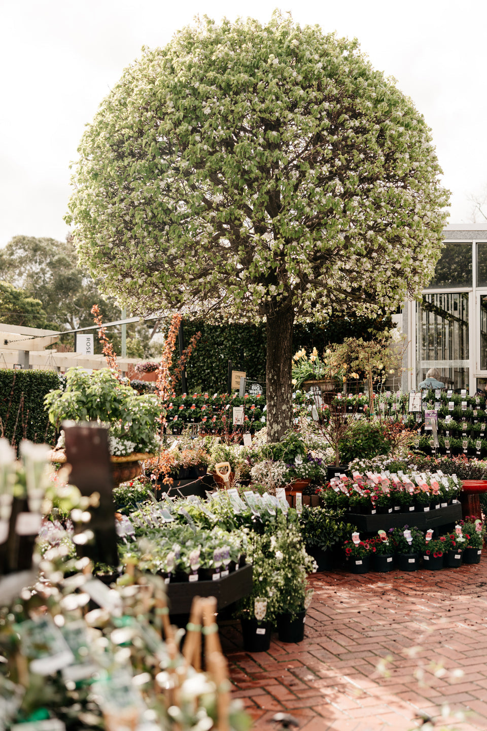 Your September Gardening Guide