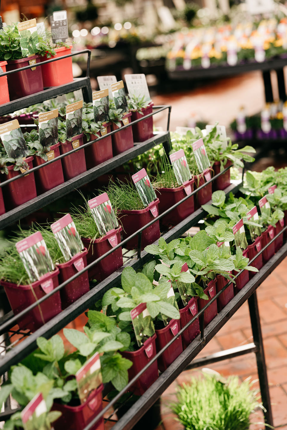 Spring’s not over yet: here’s how to make the most of it