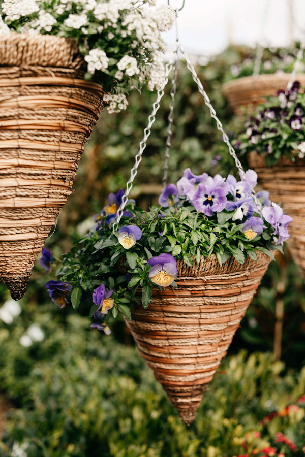 Hello summer: the season of colour, growth and garden joy