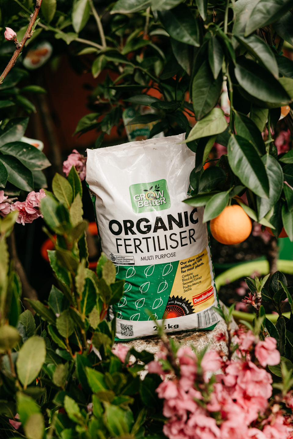 We love autumn and here's why