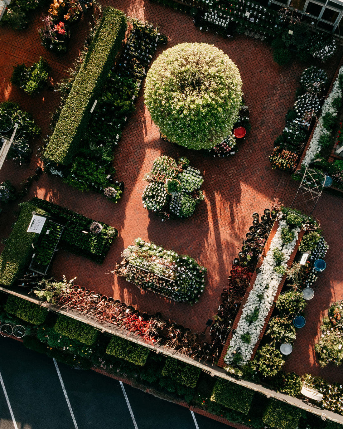 The same Acorn you know and love