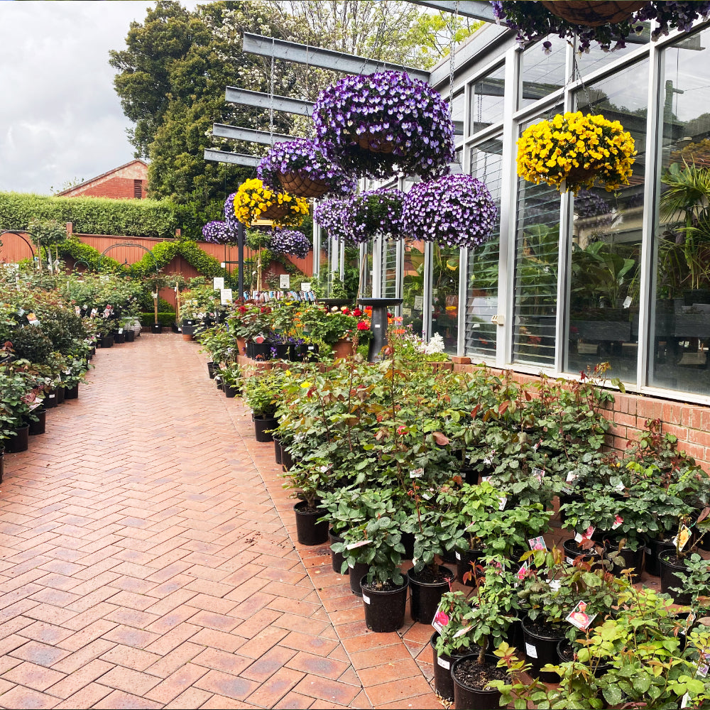Prepare for Growth in Spring