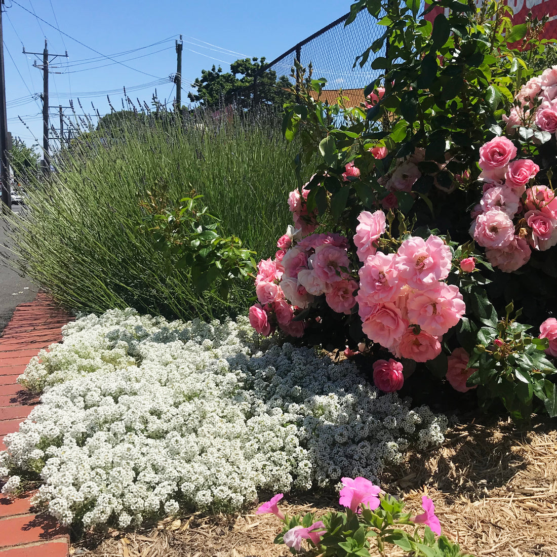 Planning a Long Weekend in the Garden?