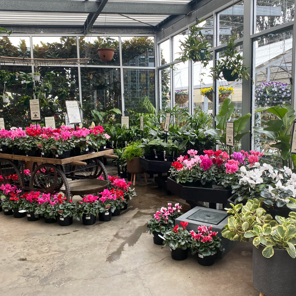 Prune, Plant and Prepare your Garden for Spring!