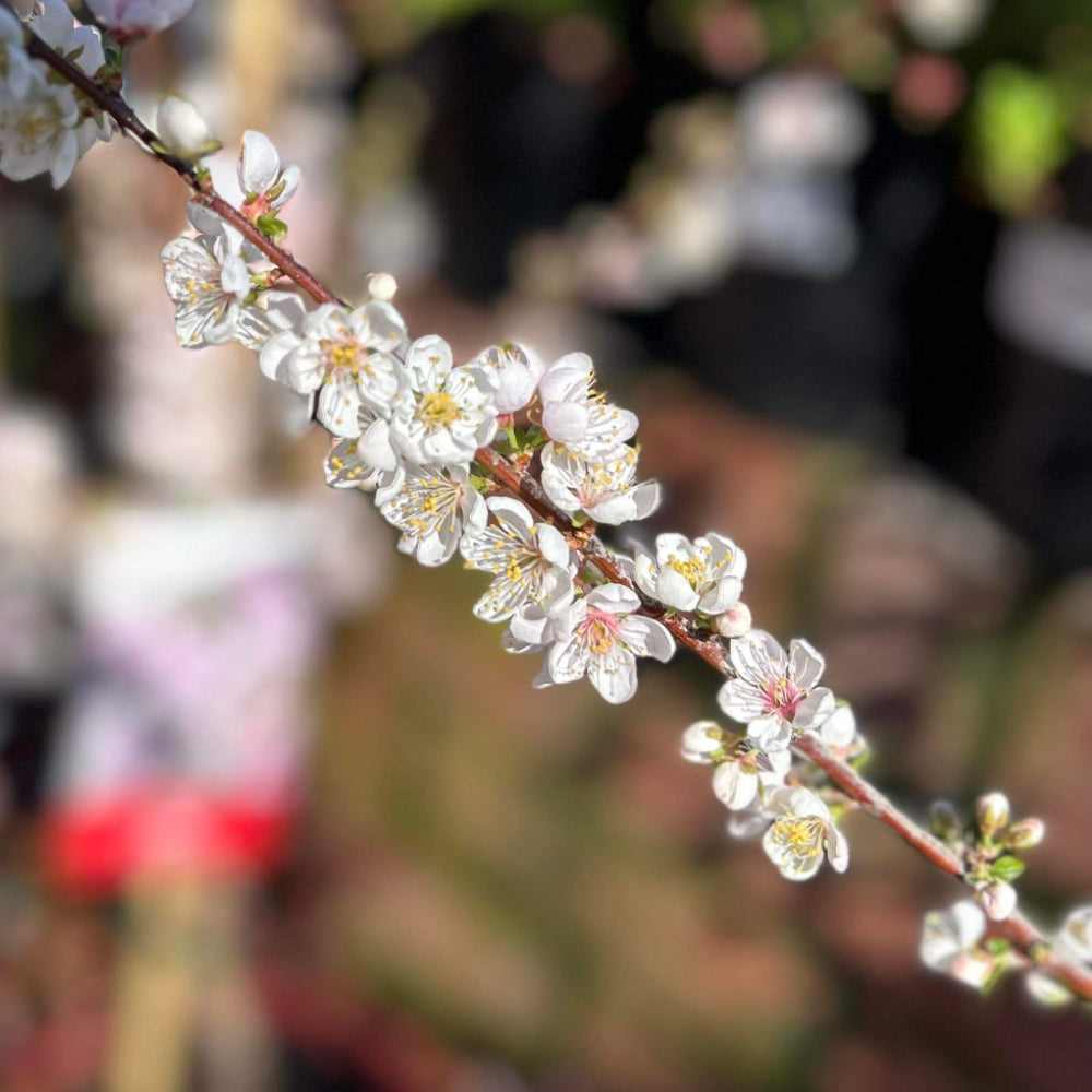 Spring is Finally Here!