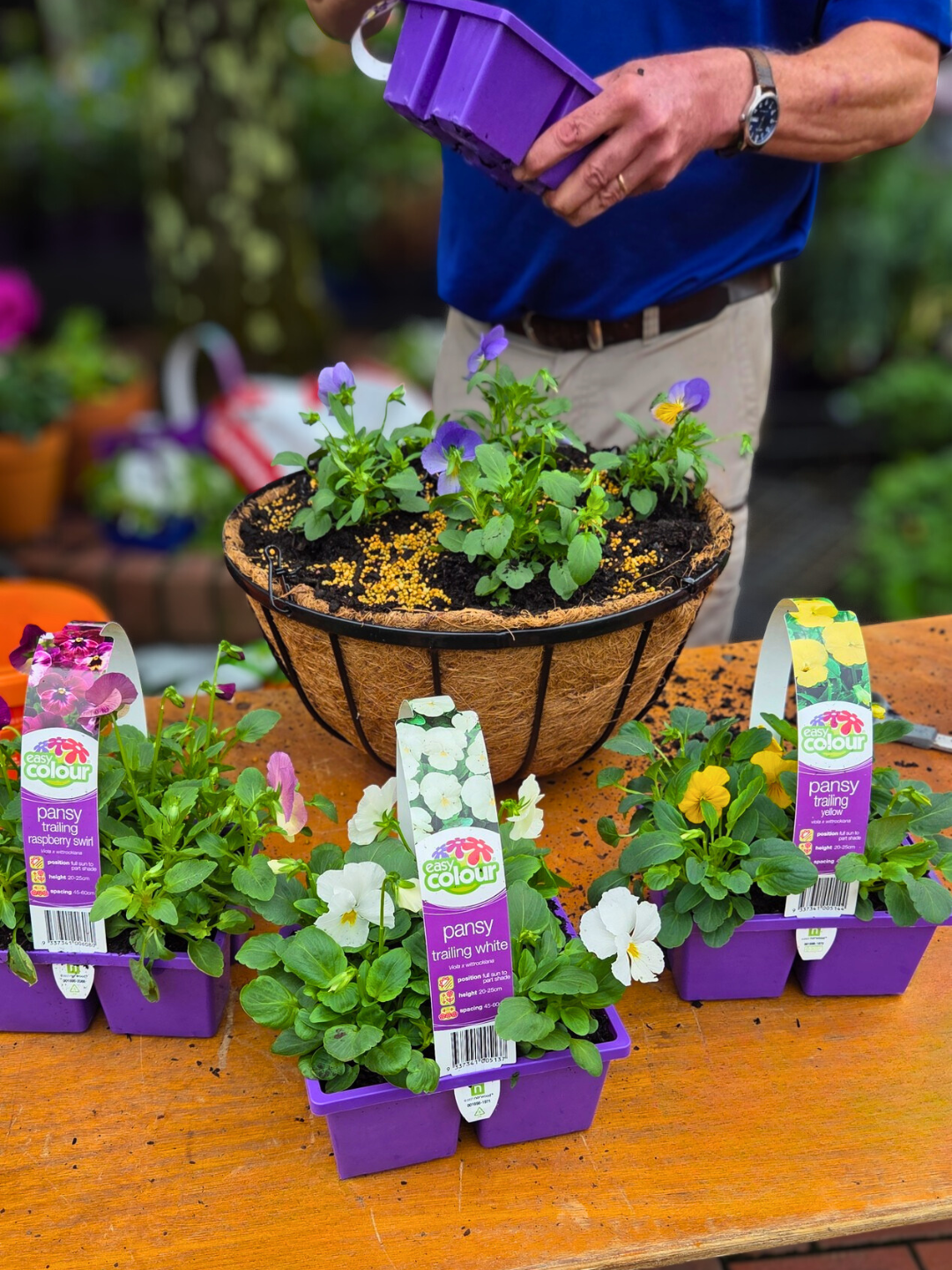 Hello April: A mid-autumn check in