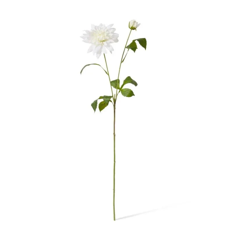 Dahlia Spray White
