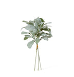 Lambs Ear Bundle