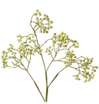 Seeding Berry Stem Light Green