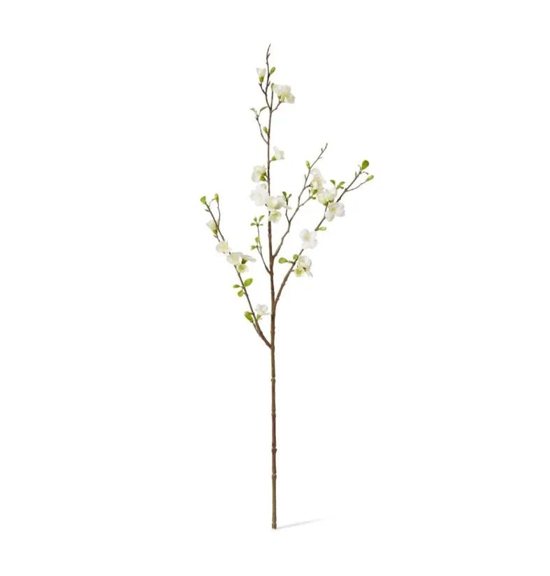 Cherry Blossom Spray White