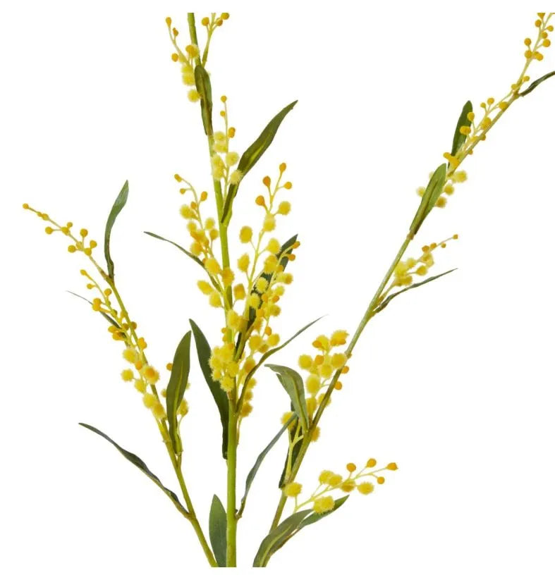 Wattle Spray Yellow