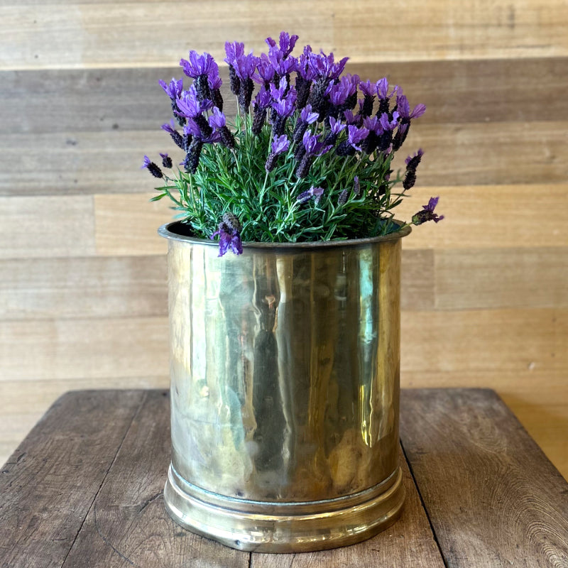 Brass Pot