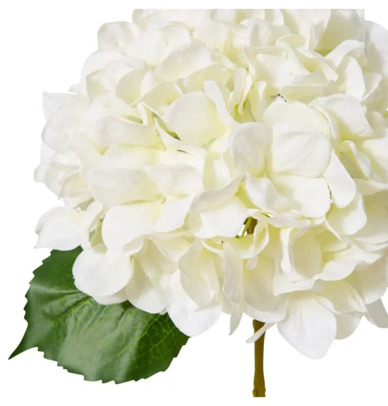 Classic Large hydrangea stem white