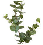 Eucalyptus dollar spray Green