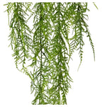 Airfern Hanging Plant