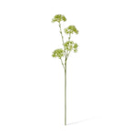 Seeding Nut Spray Green