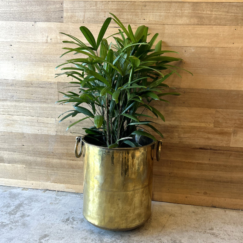 Brass Pot