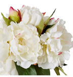 Peony Juliana Bouquet White