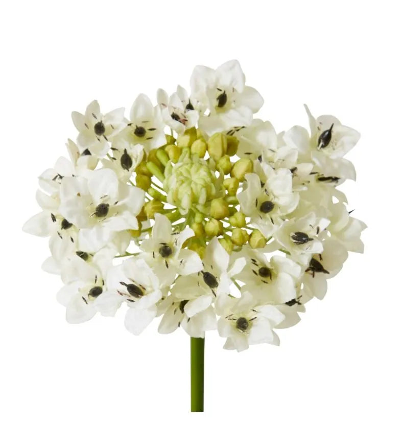 Star Flower Stem White