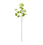 Snowball Spray Light Green