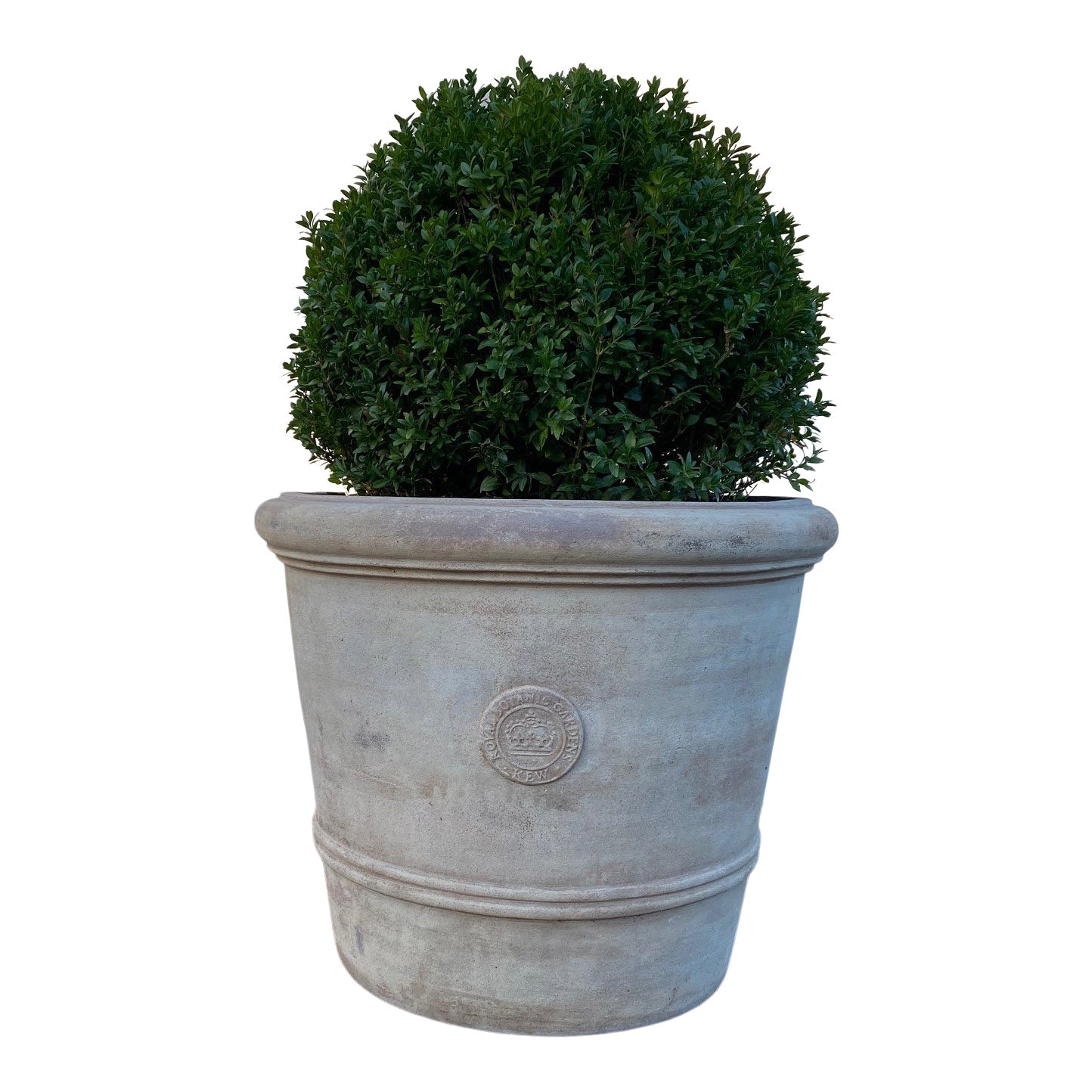 Palmhouse Kew Pot