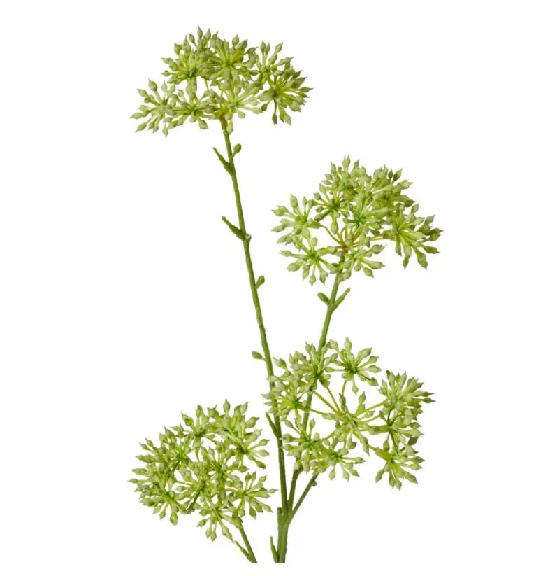 Seeding Nut Spray Green