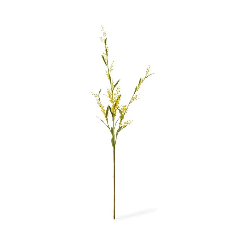 Wattle Spray Yellow