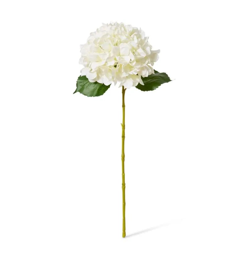 Classic Large hydrangea stem white