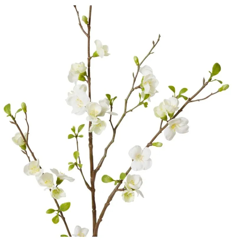 Cherry Blossom Spray White