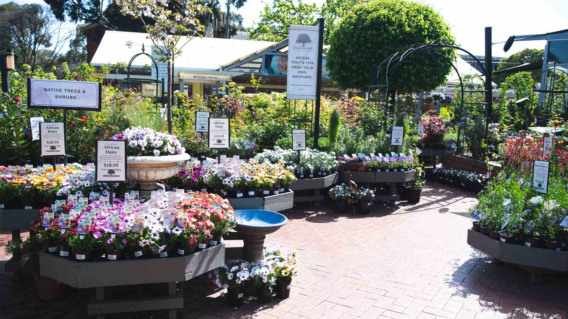 Gardening center with various plants and flowers on display