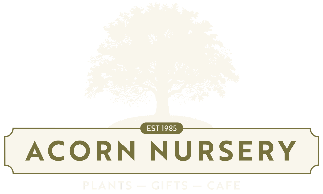 Acorn Nursery