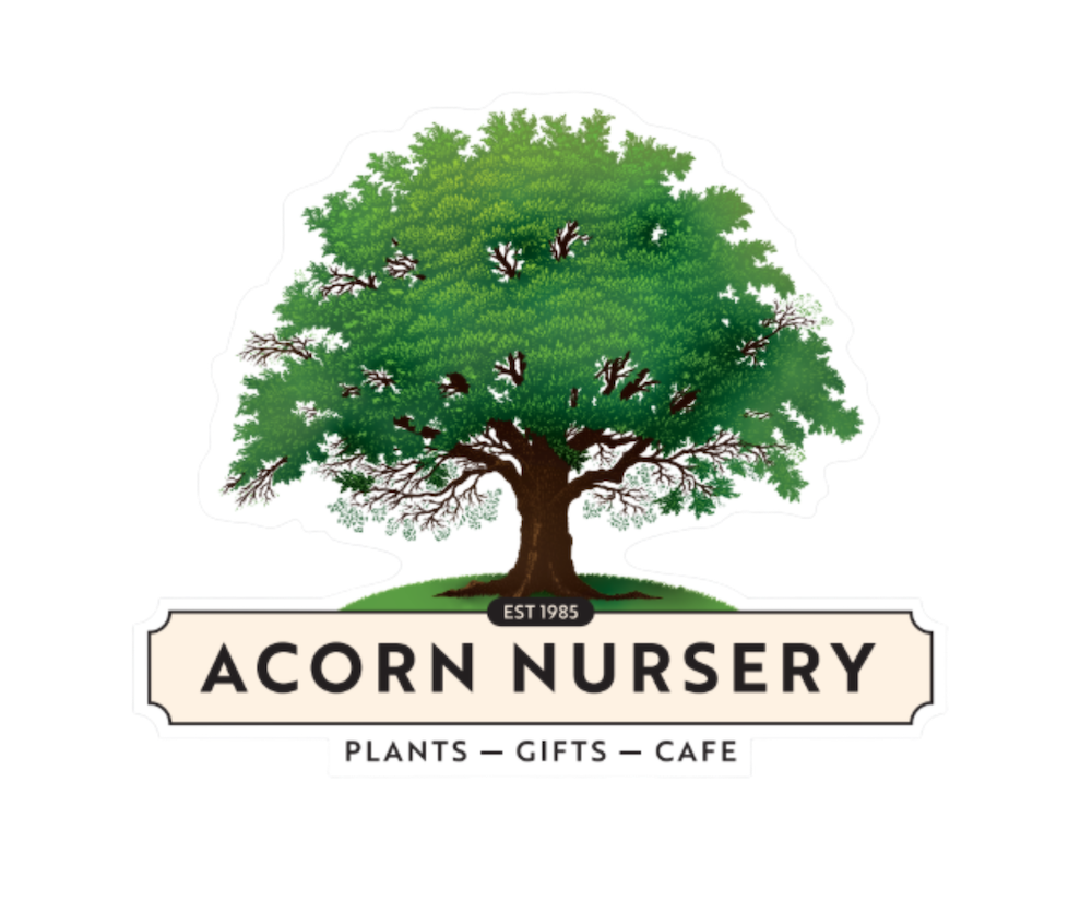 Acorn Nursery
