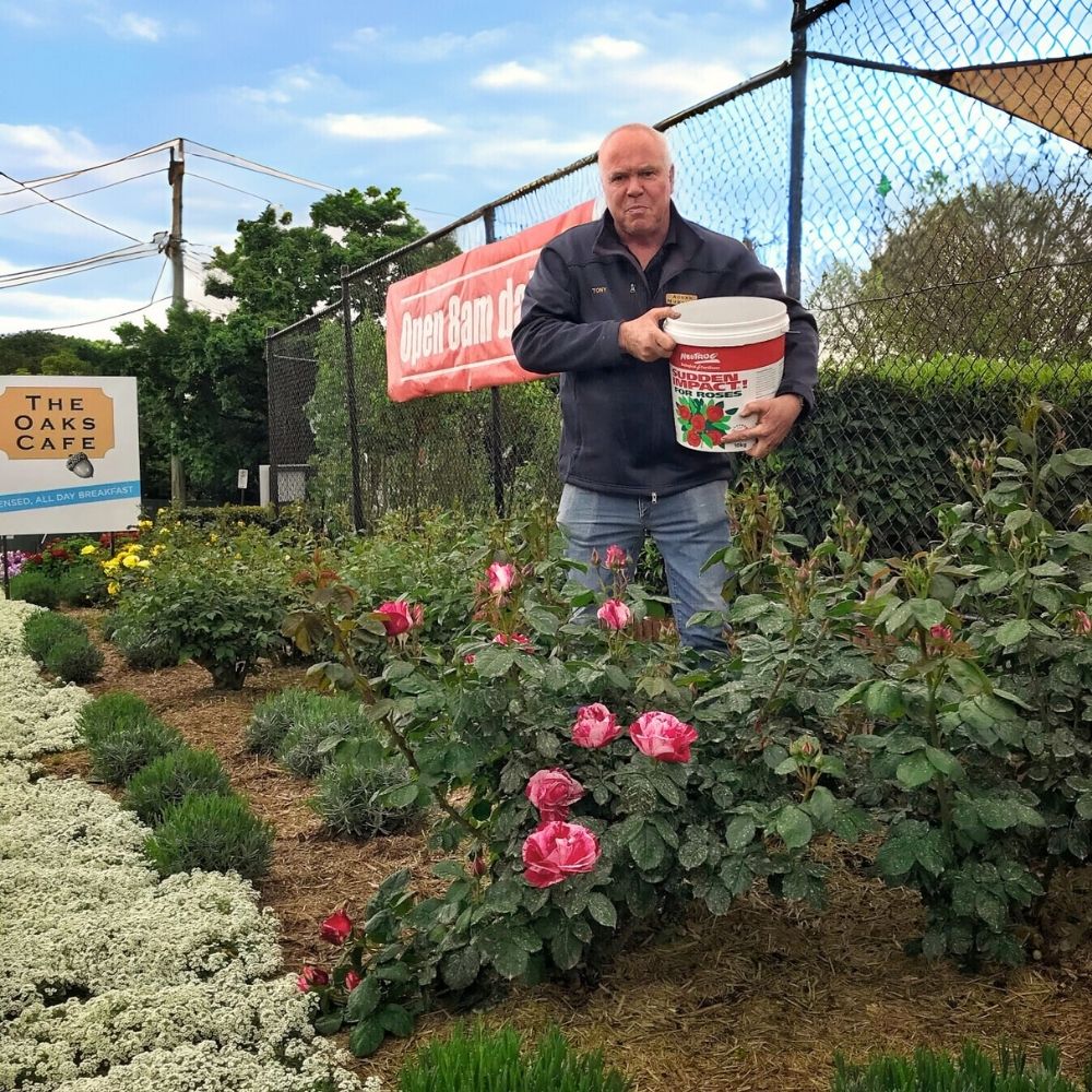 Man holding a bucket in a garden with pink flowers and a fence in the background