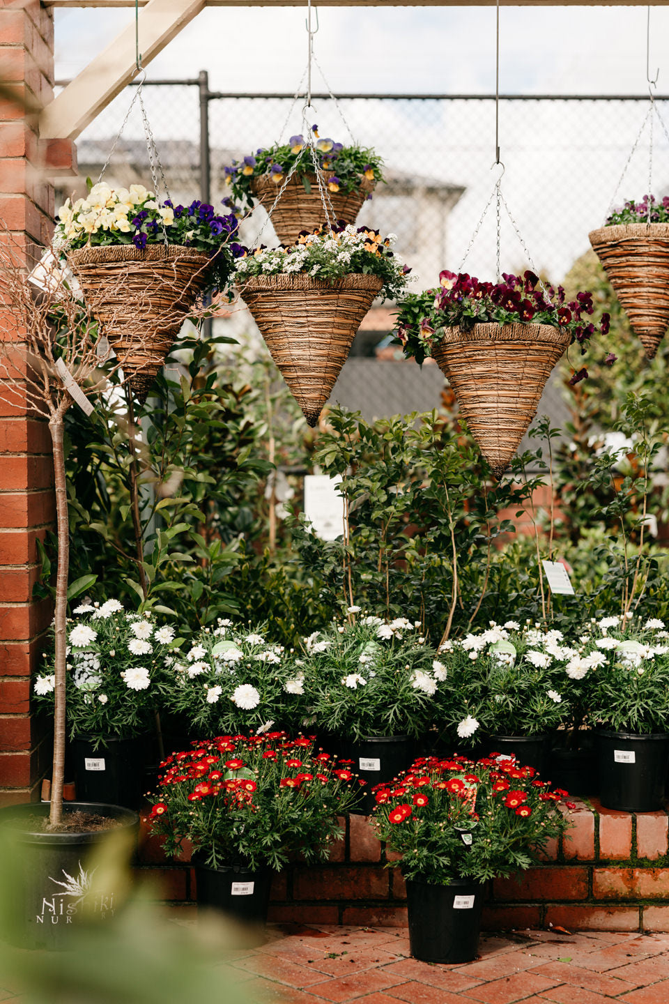Garden centre with various plants and trees on display