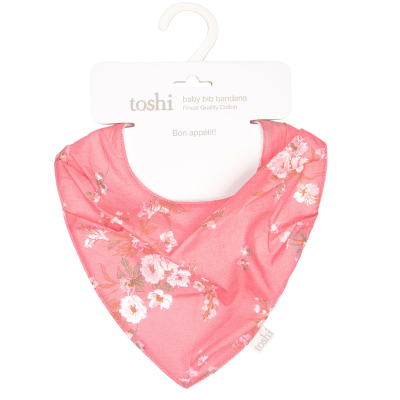 Baby Bib Bandana Classic