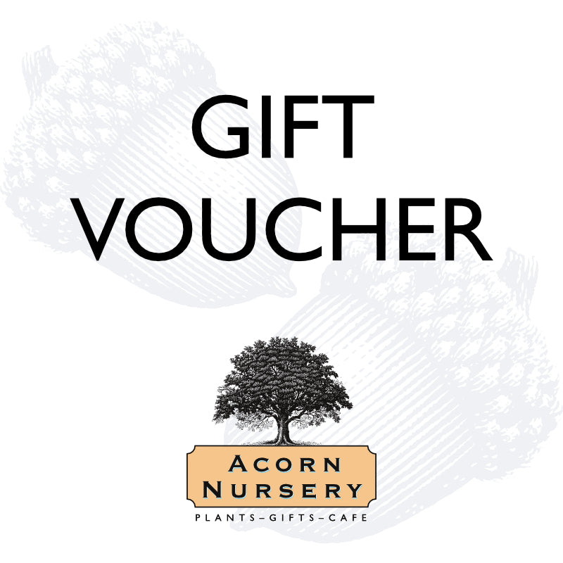 Acorn Nursery's Gift E-Voucher