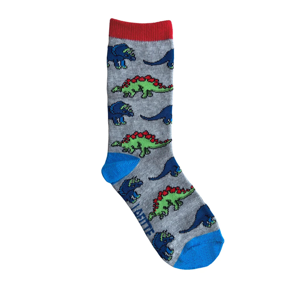 Kids Dinosaurs Sock