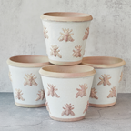 Bee Pot