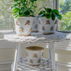 Bee Pot