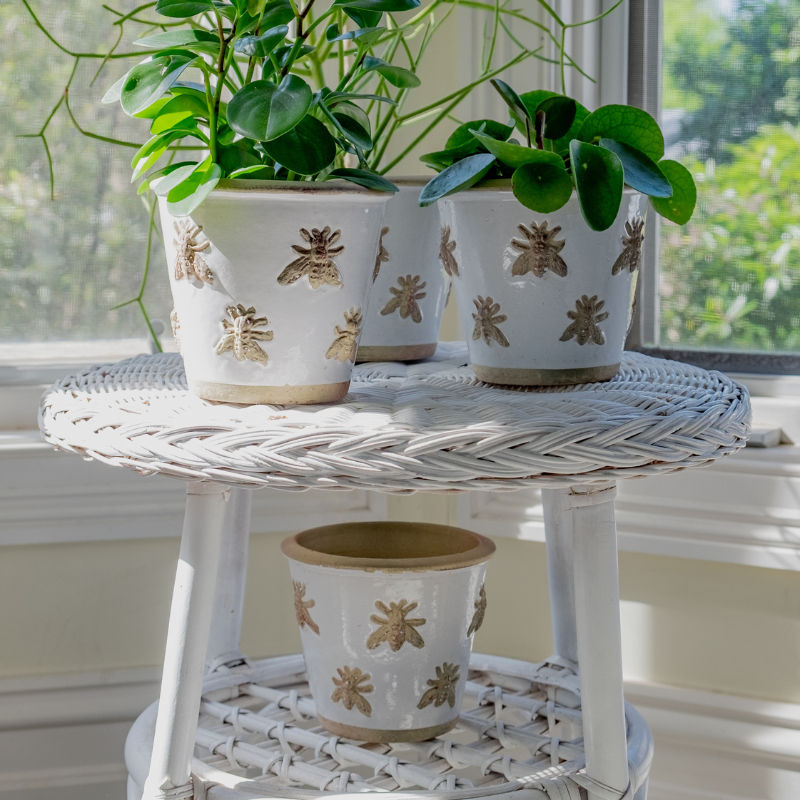 Bee Pot